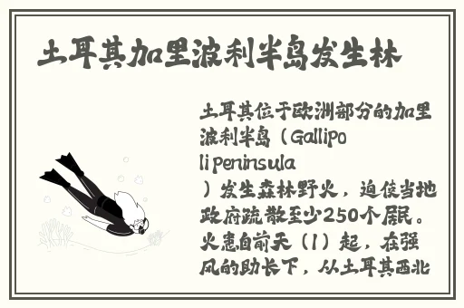 玉女桃花轻蜜粉K03多少钱